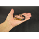 Amber Bracelet, Multi colour Amber Gemstone Armband, with Amber Decor Element 