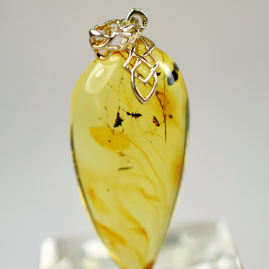  Amber with insects, Amber fossilized, amber pendant, amber inclusions, Amber fossil, natural Baltic amber stone, Amber souvenir
