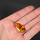 Baltic amber with insects, Amber fossilized, amber inclusions, Amber fossil, natural Baltic amber stone, Amber souvenir