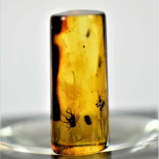  Amber with insects, Amber fossilized, amber inclusions, Amber fossil, natural Baltic amber stone, Amber souvenir