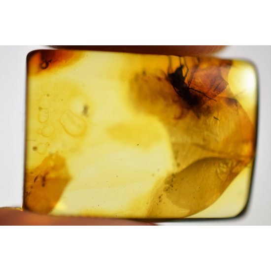 Square amber with insects, Amber fossilized, amber inclusions, Amber fossil, natural Baltic amber stone, Amber souvenir